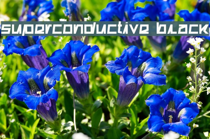 Superconductive Black Font examples