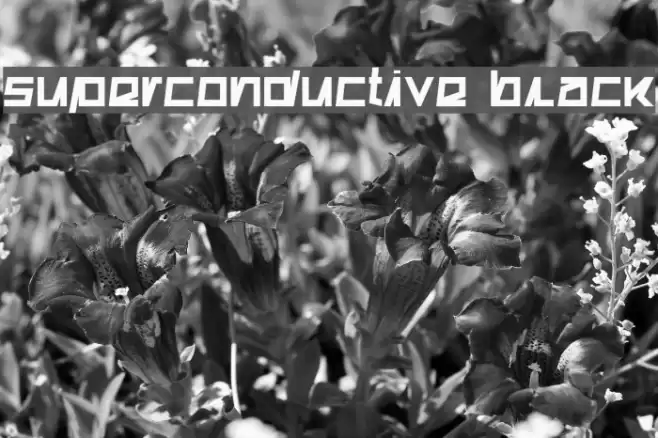 Superconductive Black Font examples