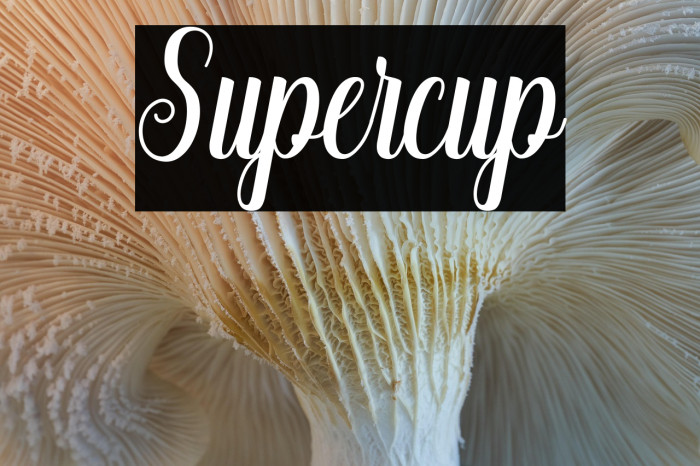 Supercup Example 2
