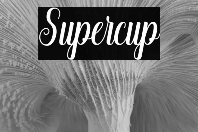 Supercup Font examples