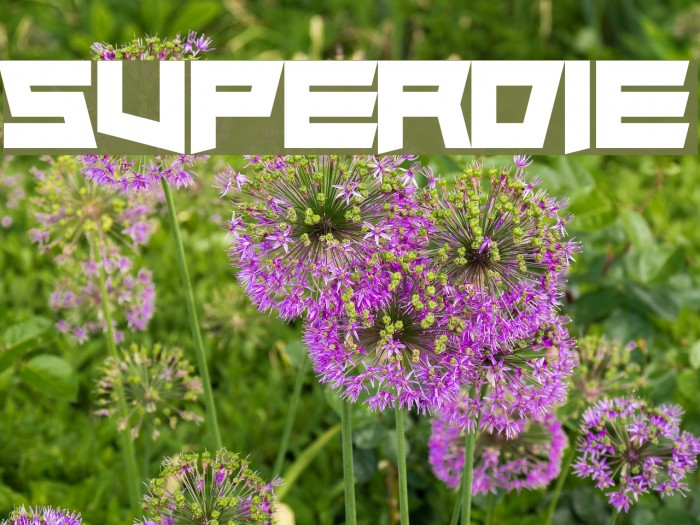 Superdie Font examples