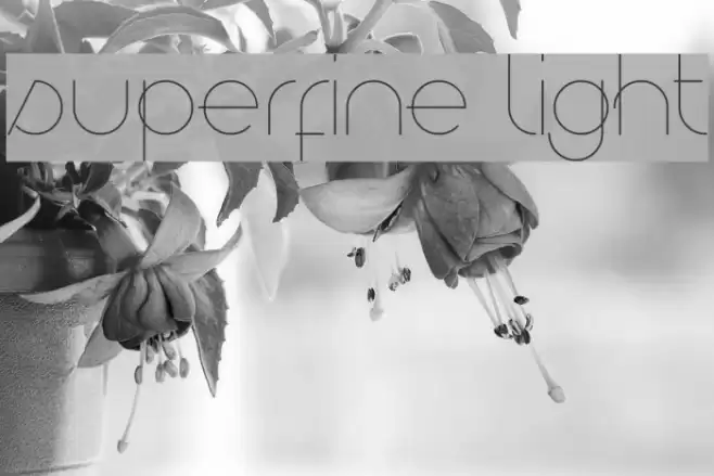 Superfine Light Font examples