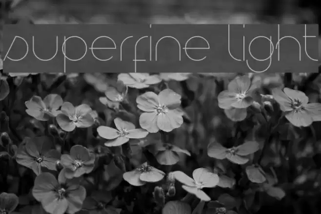 Superfine Light Font examples