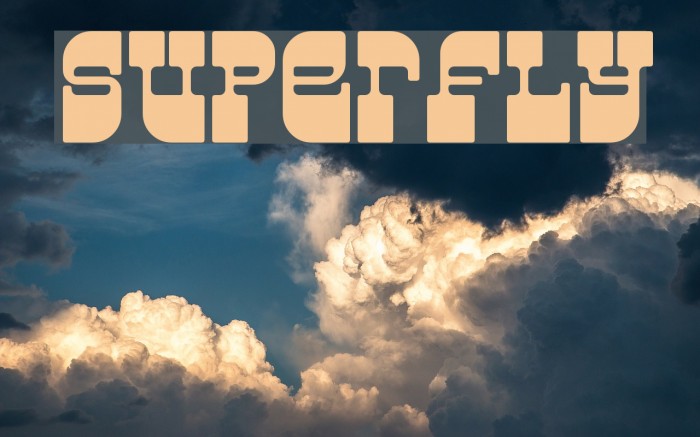 Superfly Polices examples