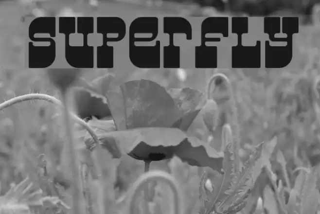 Superfly Font examples