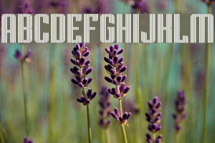 Superguns Vertical Regular Example 1