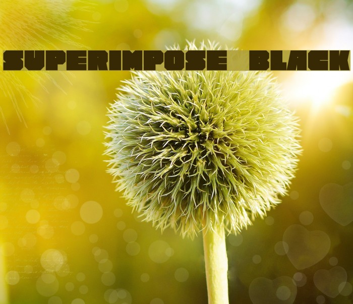 Superimpose Black Font examples