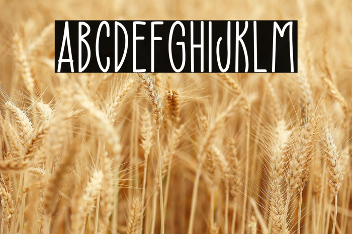 Superior Mind Example 1