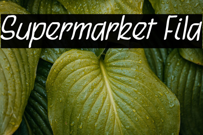Supermarket Fila Example 2