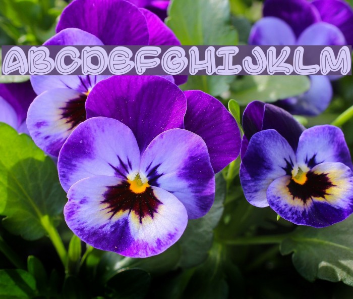 SupermassiveBlackHole Example 2