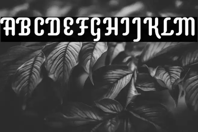 Supermercado Regular Font examples