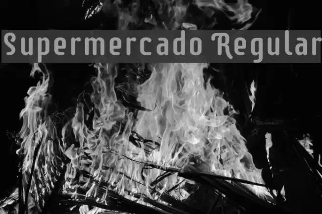 Supermercado Regular Font examples