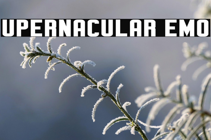 Supernacular Demo Example 2