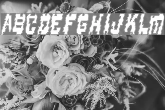 Supernaut Font examples