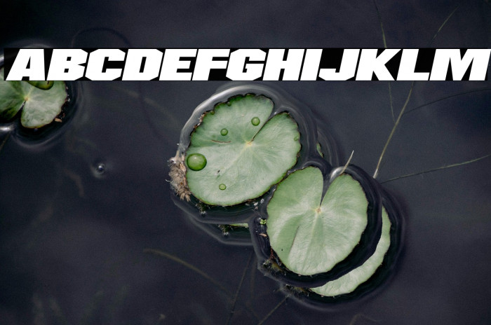 Supernovas Italic Example 3