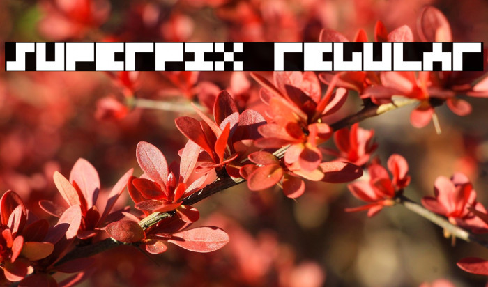 Superpix Regular Example 3