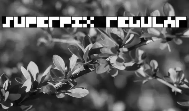 Superpix Regular Font examples
