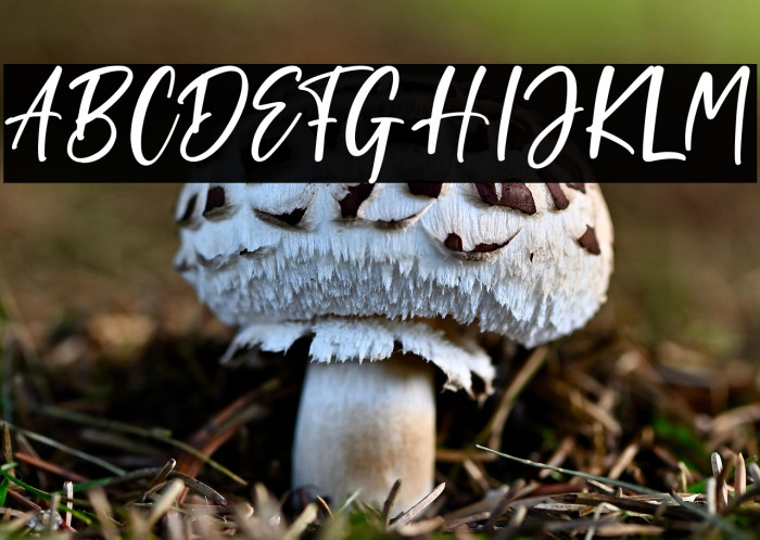 Supersonic Example 3