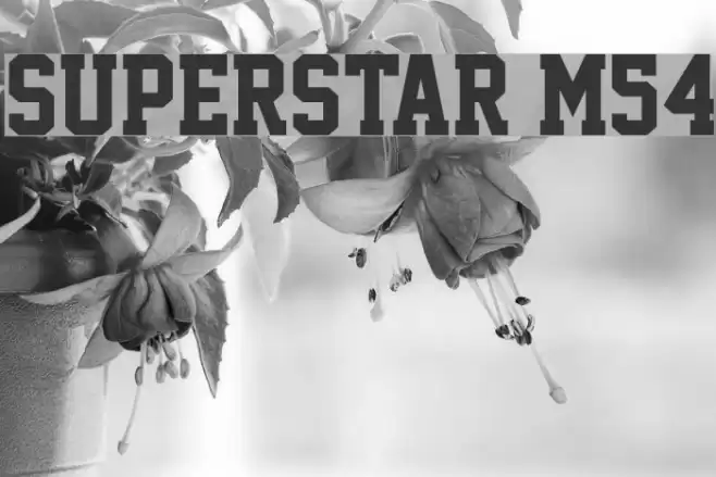 Superstar M54 Font examples