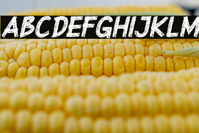 Superstition Rough Brush-DEMO I Example 3