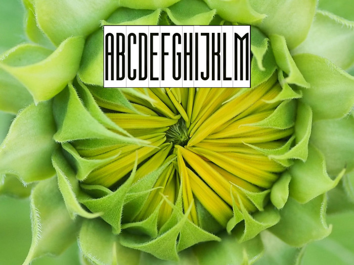 SuperstrettoBanner Example 2