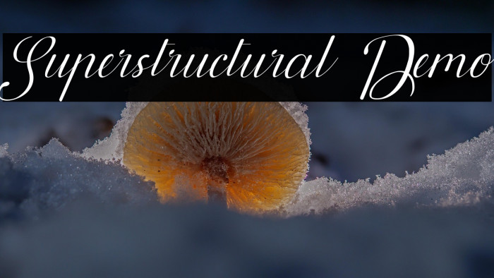 Superstructural Demo Example 1