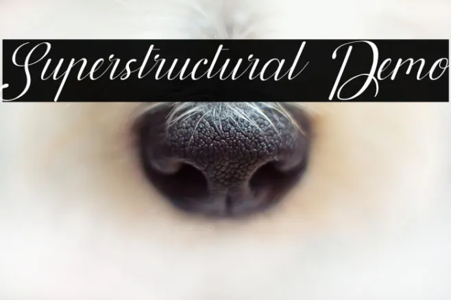 Superstructural Demo Example 3