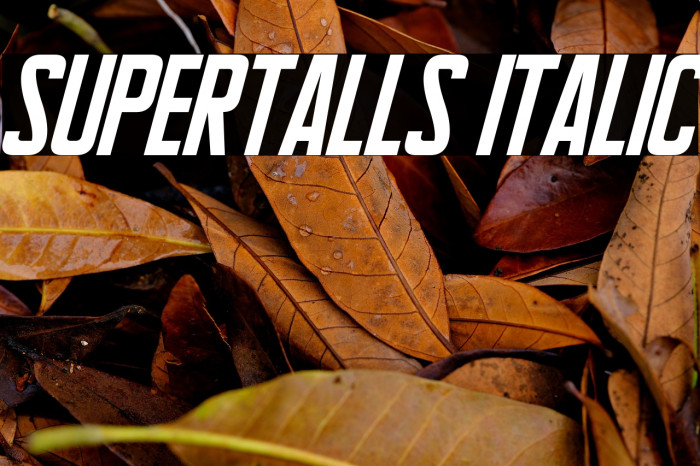 Supertalls Italic Example 1