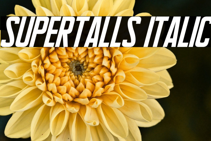 Supertalls Italic Example 2