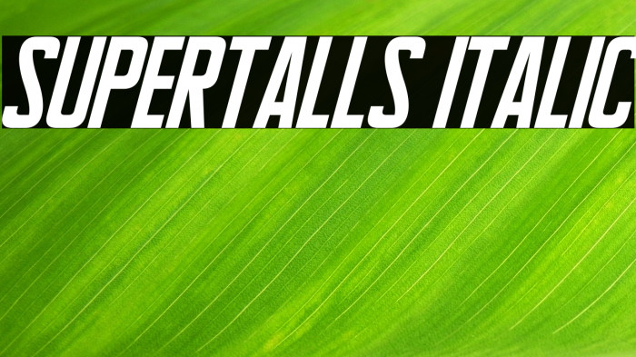 Supertalls Italic Example 3