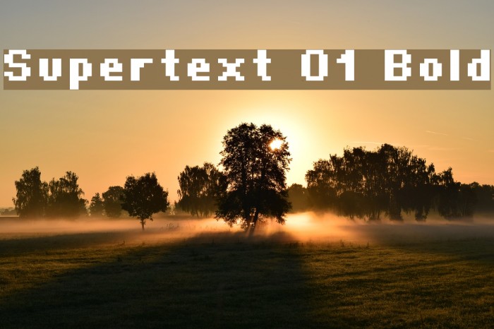 Supertext 01 Bold Caratteri examples