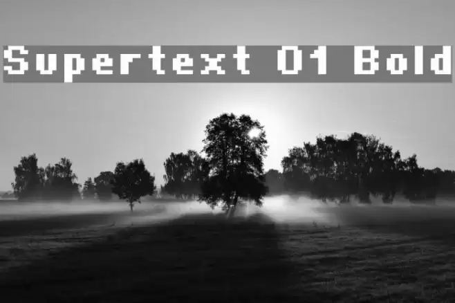 Supertext 01 Bold Font examples