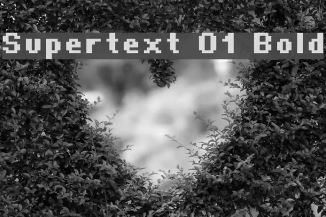 Supertext 01 Bold Font examples