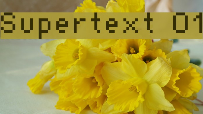 Supertext 01 Font examples