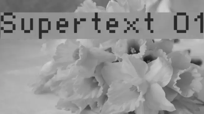 Supertext 01 फ़ॉन्ट examples