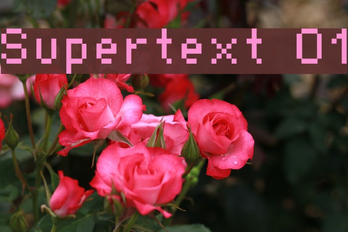 Supertext 01 Font examples
