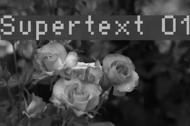 Supertext 01 फ़ॉन्ट examples