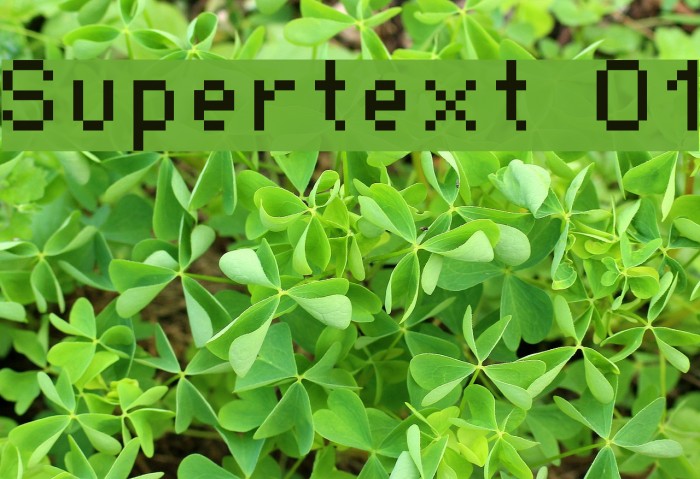 Supertext 01 Font examples