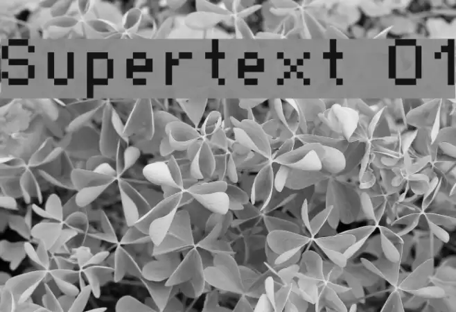 Supertext 01 फ़ॉन्ट examples