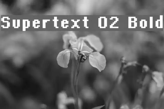 Supertext 02 Bold Caratteri examples