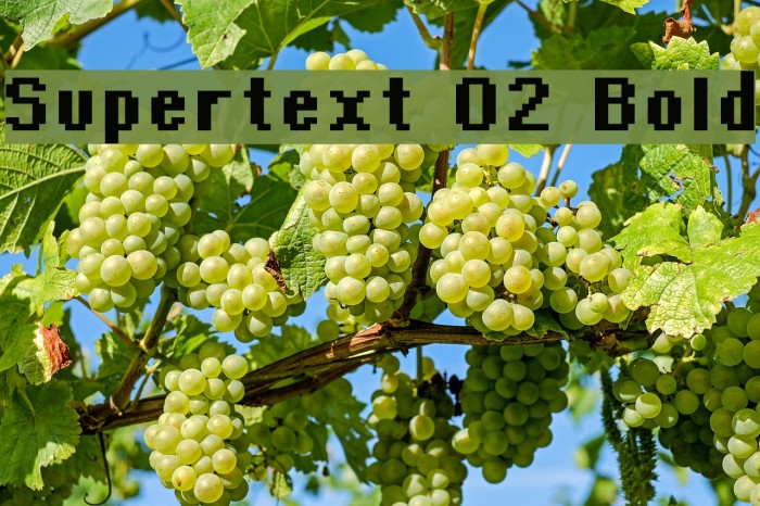 Supertext 02 Bold Caratteri examples