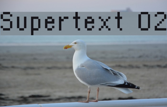 Supertext 02 Font examples