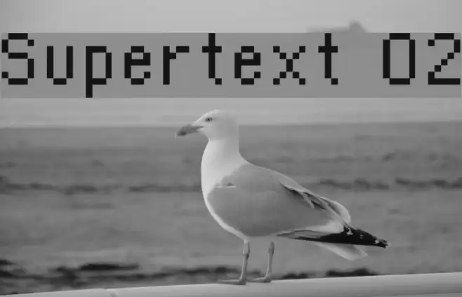 Supertext 02 Schriftart examples