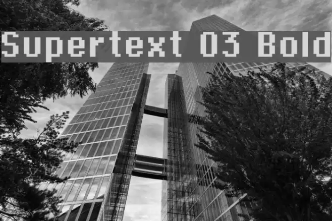 Supertext 03 Bold خط examples