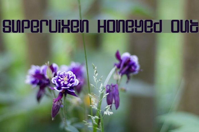 Supervixen Honeyed Out フォント examples