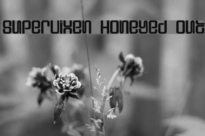 Supervixen Honeyed Out フォント examples