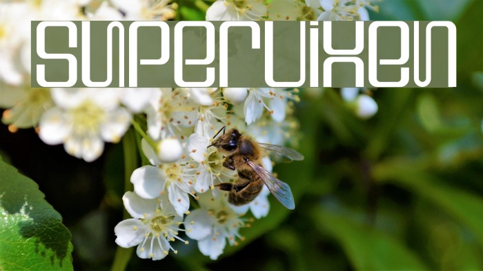 Supervixen Font examples