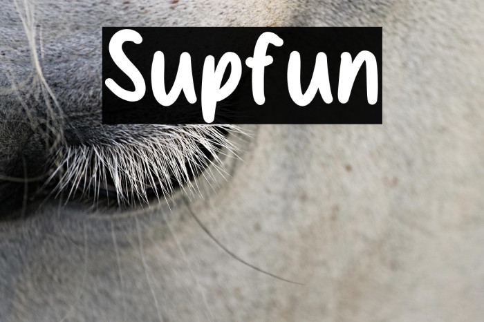Supfun Example 1