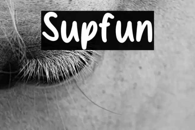 Supfun Font examples