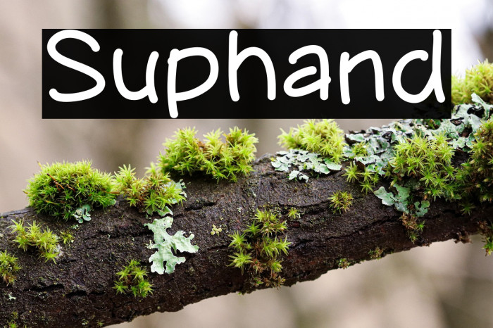 Suphand Example 3